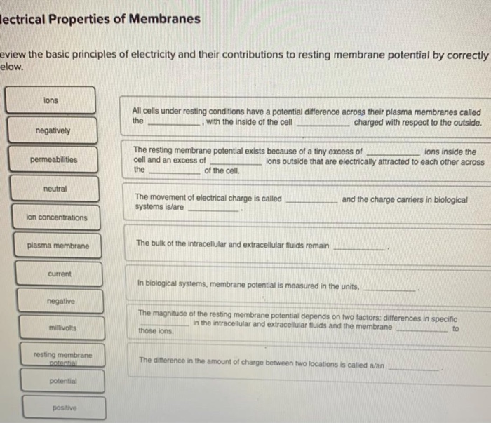 Solved esting Membrane Potential omplete each sentence to