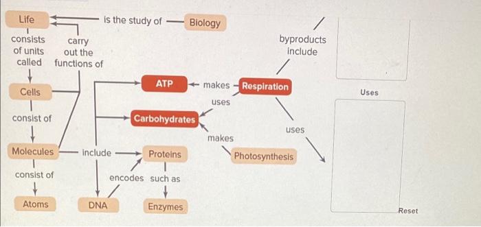 solved-review-the-overall-equation-of-cellular-respiration-chegg