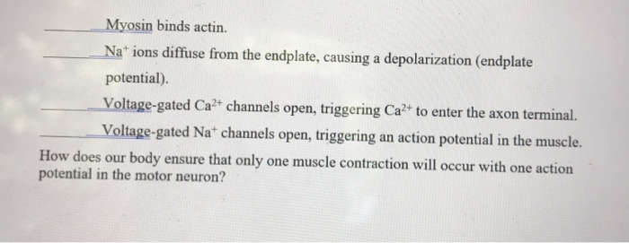 Solved Place the following steps of a skeletal muscle action | Chegg.com
