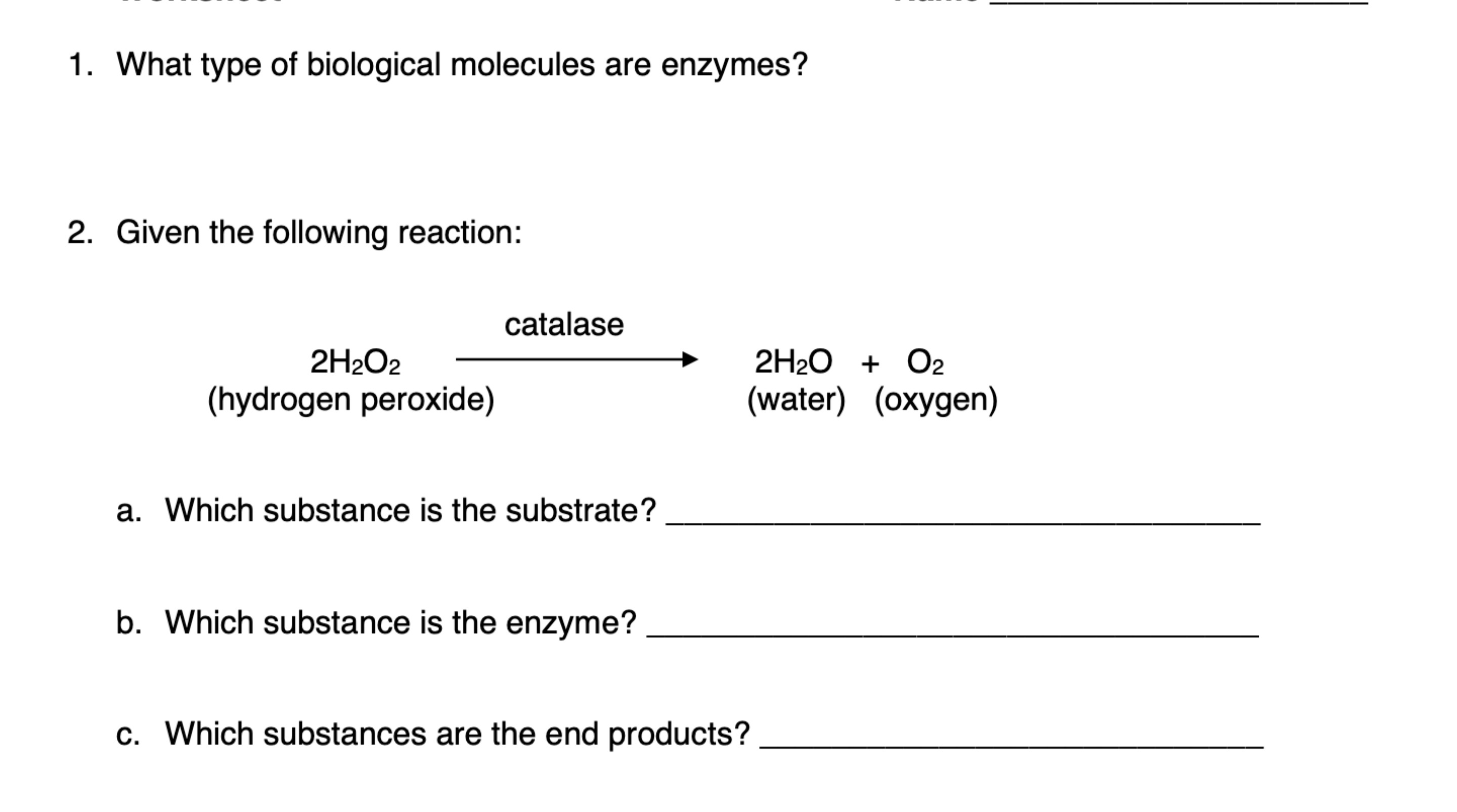 Solved What type of biological molecules are enzymes?Given