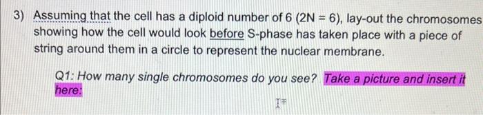 Solved 3) Assuming that the cell has a diploid number of 6(2 | Chegg.com
