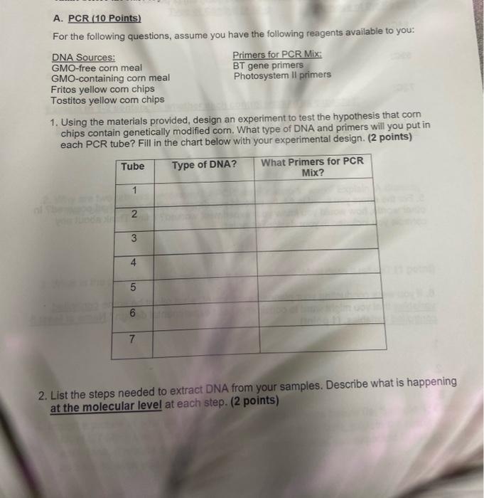 Solved A. PCR (10 Points) For the following questions, | Chegg.com