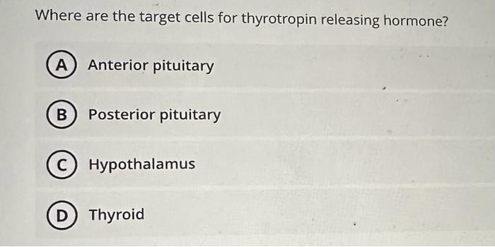 Where are the target cells for thyrotropin releasing hormone?
Anterior pituitary
Posterior pituitary
Hypothalamus
Thyroid