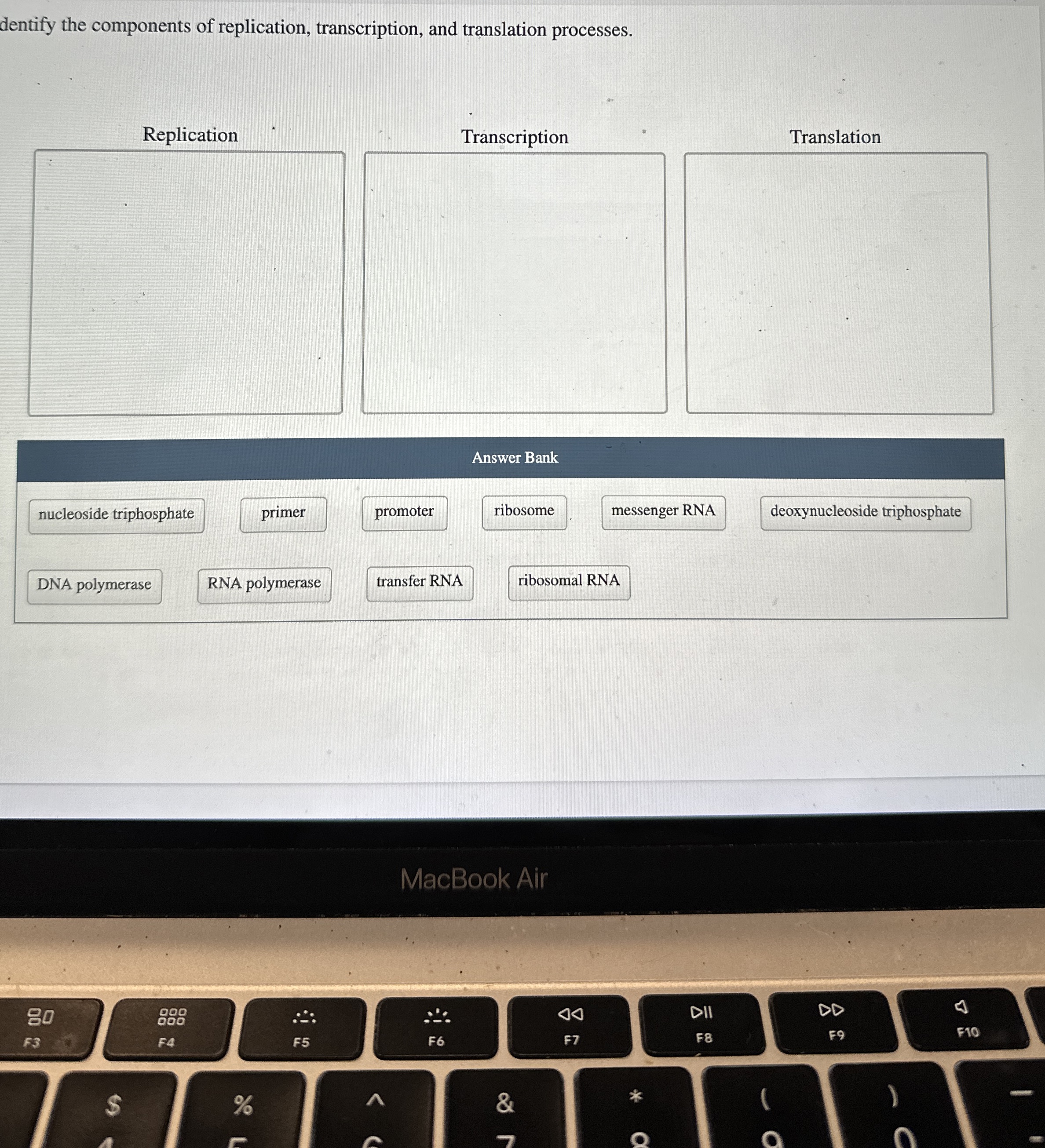 Solved Dentify The Components Of Replication Transcription Chegg Com