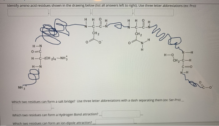 Solved Identify amino acid residues shown in the drawing | Chegg.com