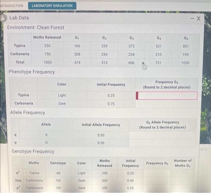 Solved Lab Data Environment Clean Forest Phenotype