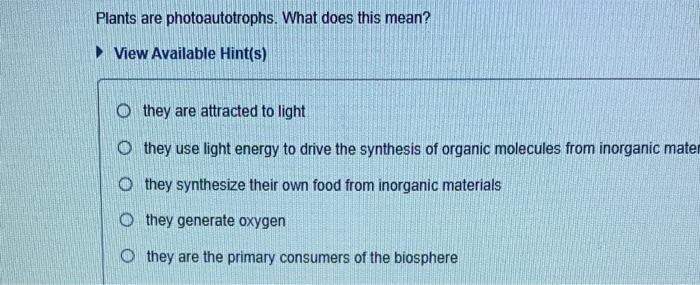 photoautotrophes