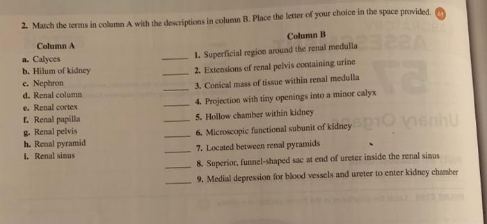 Solved 2. Match the terms in column A with the descriptions | Chegg.com