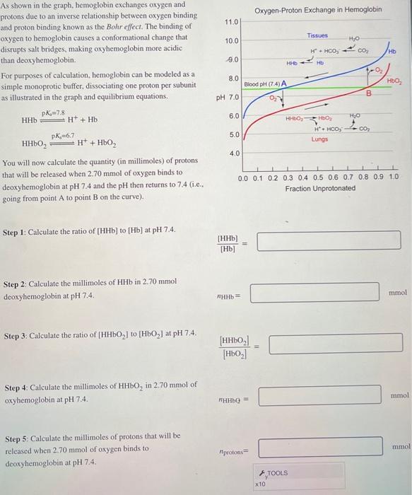 Solved Ax shown in the graph, hemoglobin exchanges oxygen | Chegg.com