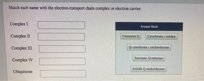 Solved Match each name with the electron-transport chain | Chegg.com