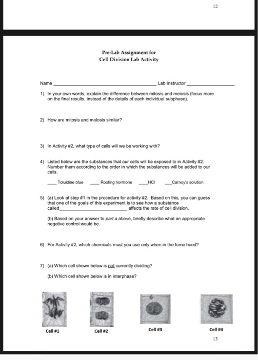 Solved Pre-Lab Assignment For Cell Division Lab Activity | Chegg.com