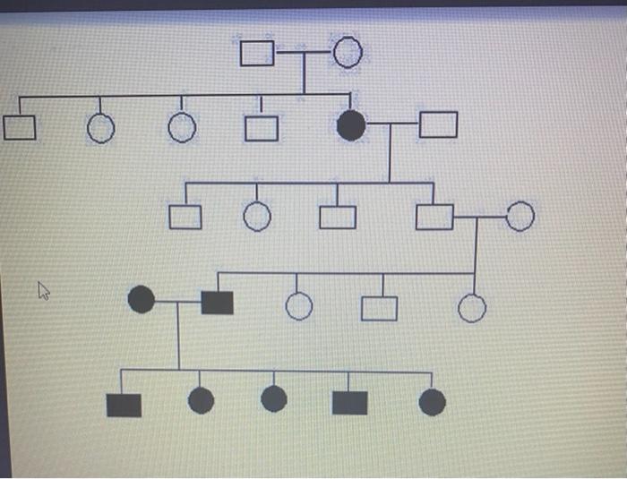 Is albinism a dominant or recessive trait? How do you | Chegg.com