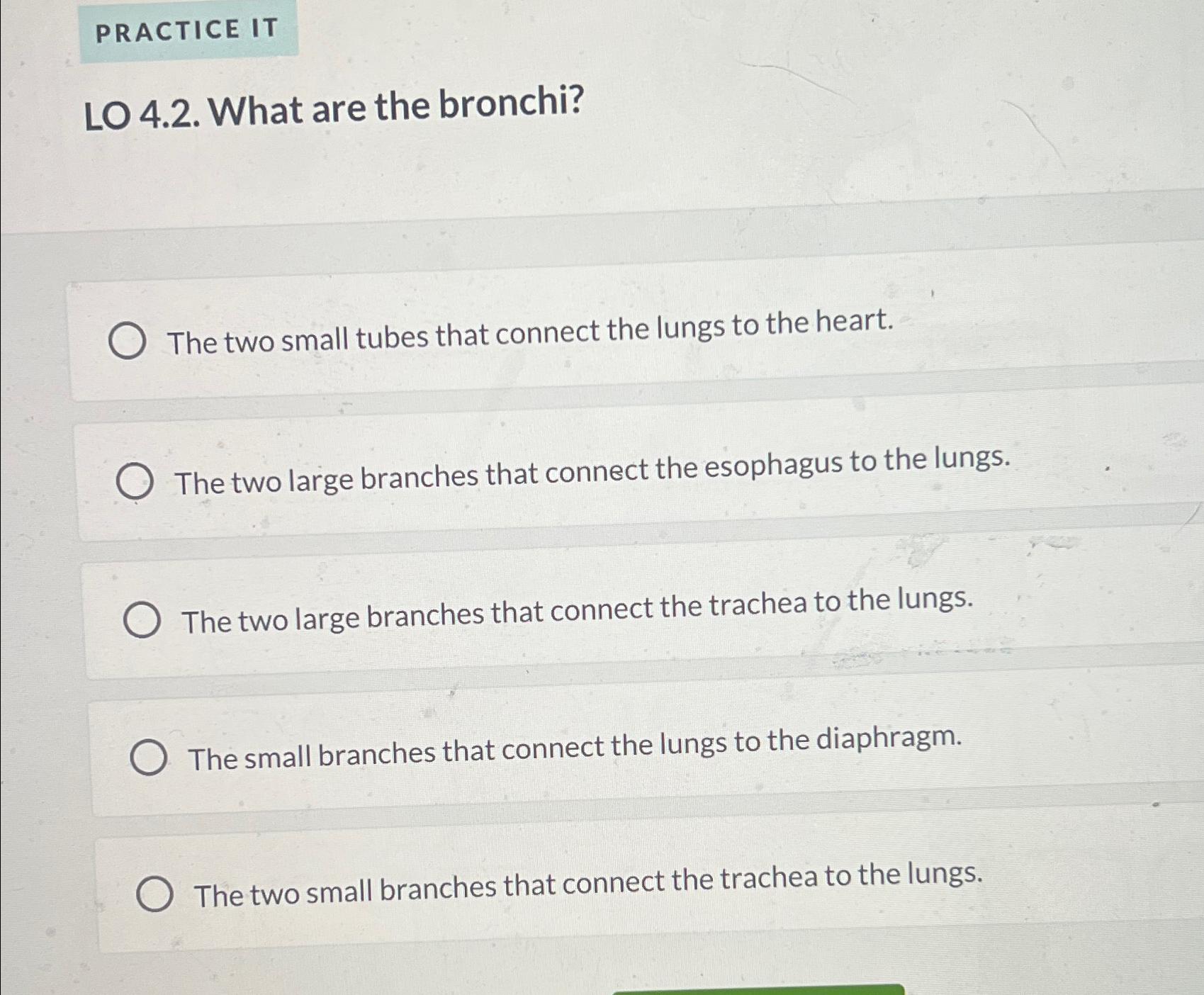 Solved PRACTICE ITLO 4.2. ﻿What are the bronchi?The two | Chegg.com