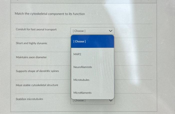 Solved Match the cytoskeletal component to its function | Chegg.com
