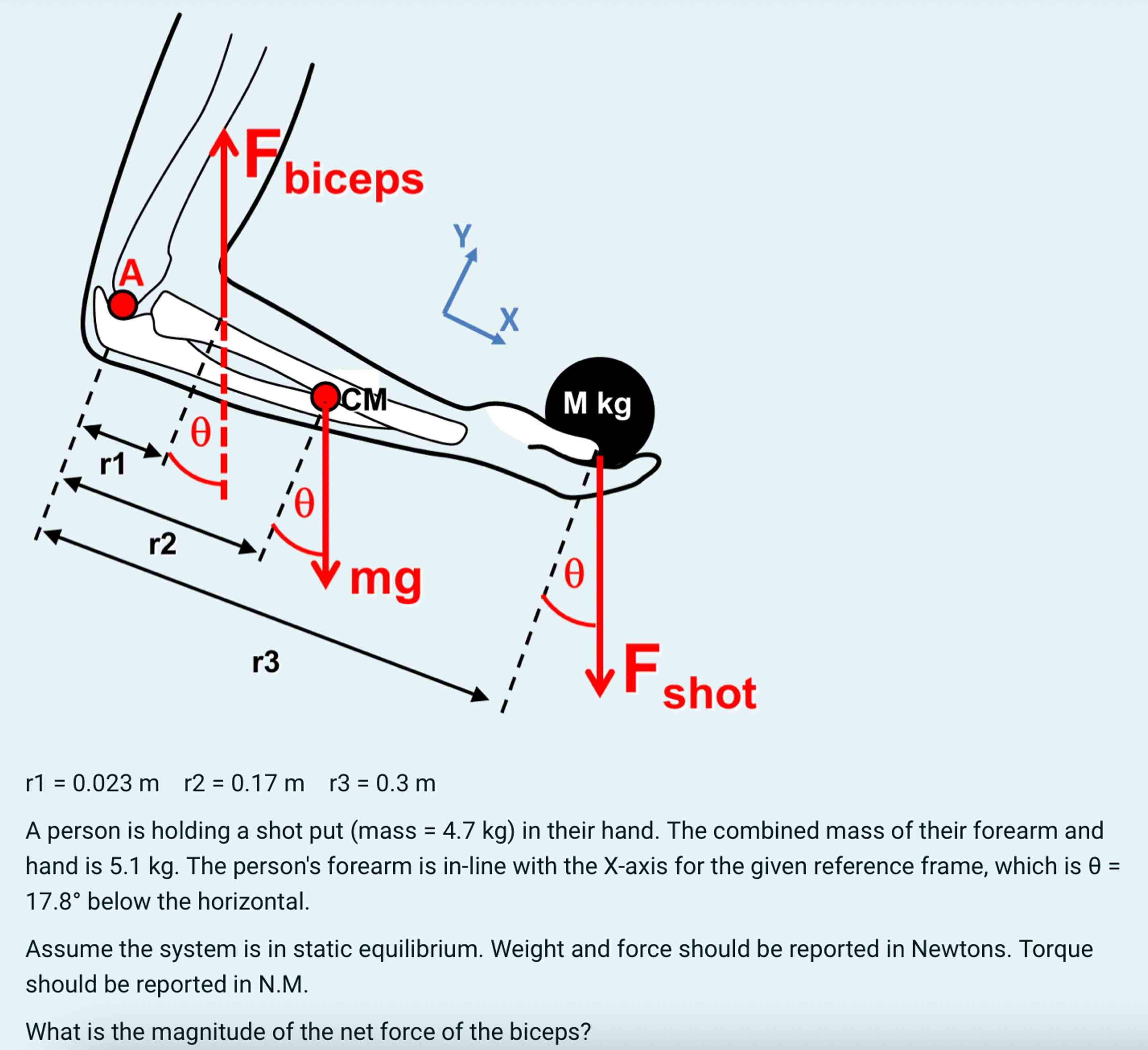 Solved R1=0.023m,r2=0.17m,r3=0.3mA Person Is Holding A Shot | Chegg.com