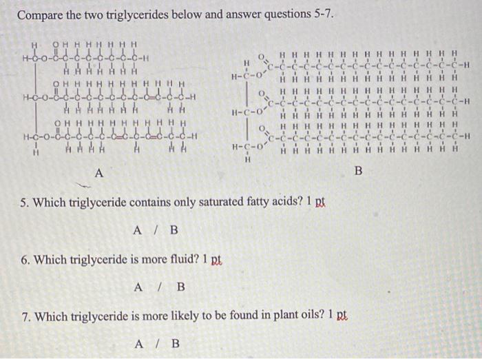 Solved Compare the two triglycerides below and answer | Chegg.com