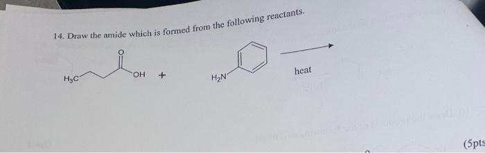 Solved 14. Draw The Amide Which Is Formed From The Following | Chegg.com