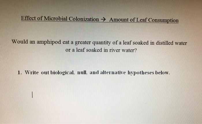 Solved Effect of Microbial Colonization → Amount of Leaf | Chegg.com