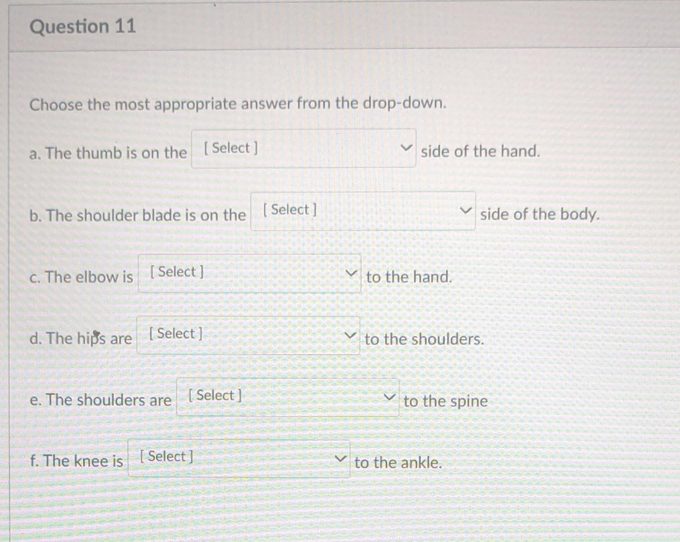 Solved Choose the appropriate word These are the words | Chegg.com