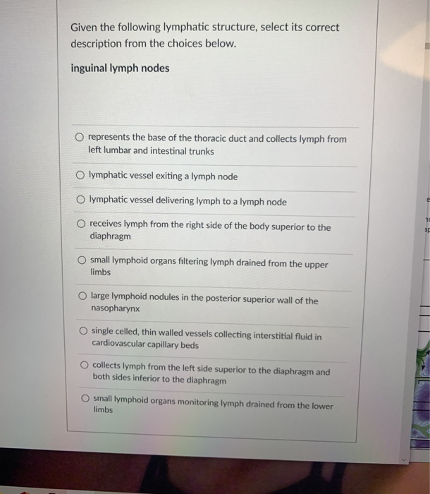 Solved Given the following lymphatic structure, select its | Chegg.com