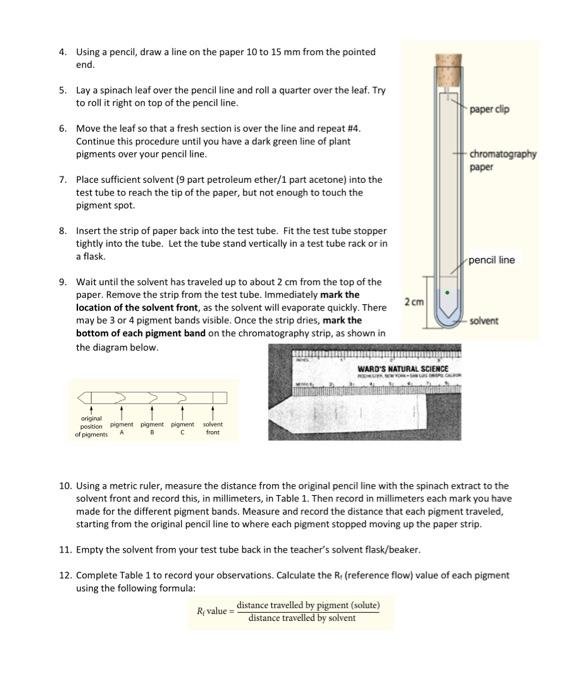 What Makes a Good Color Pencil - The Importance of Pigment