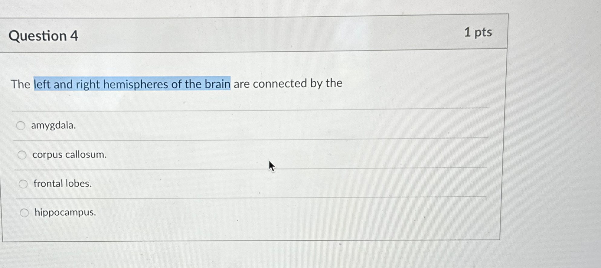Solved Question 41ptsThe left and right hemispheres of the | Chegg.com