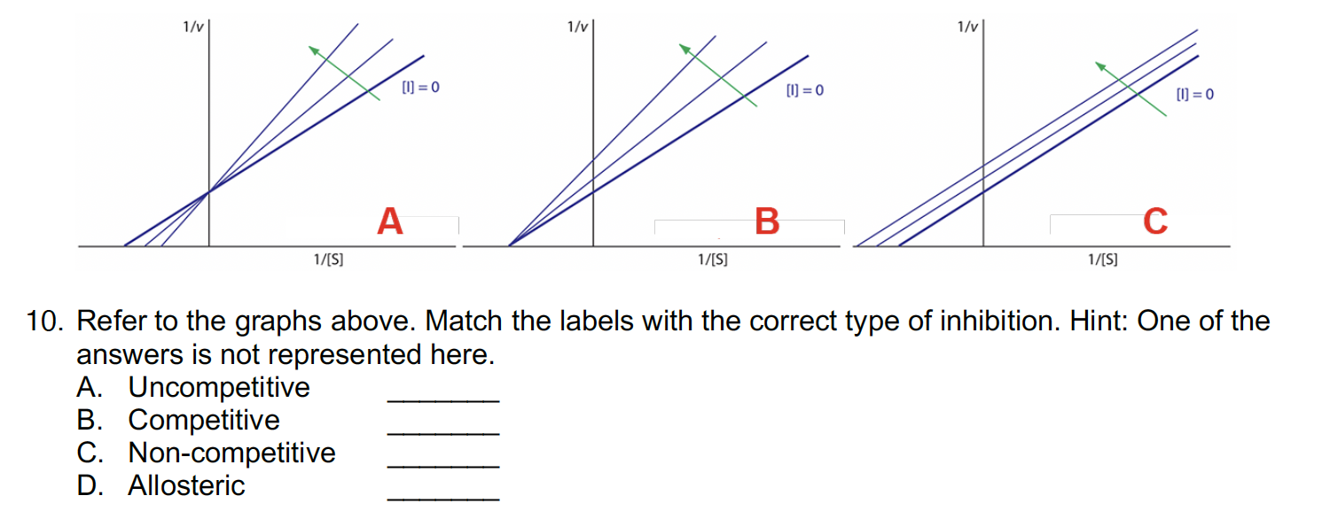 Solved Refer to the graphs above. Match the labels with the | Chegg.com