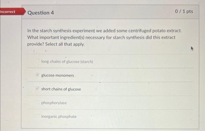 Solved In the starch synthesis experiment we added some | Chegg.com