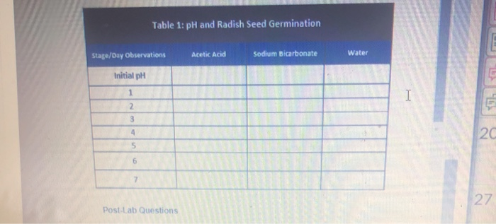 radish seed lab