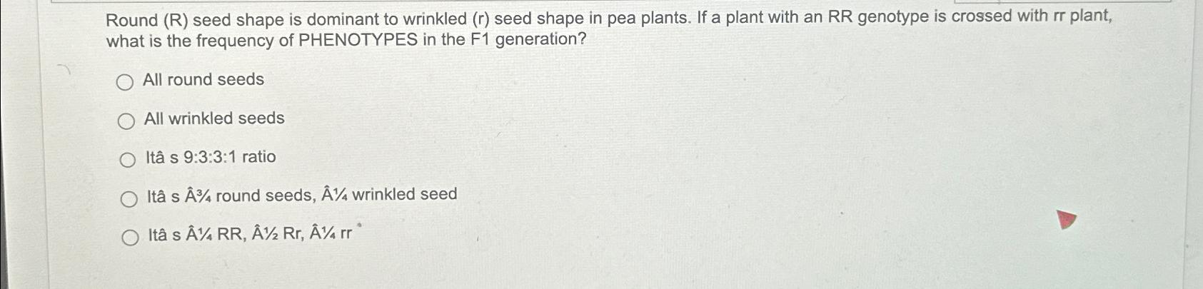 Solved Round (R) ﻿seed shape is dominant to wrinkled (r) | Chegg.com