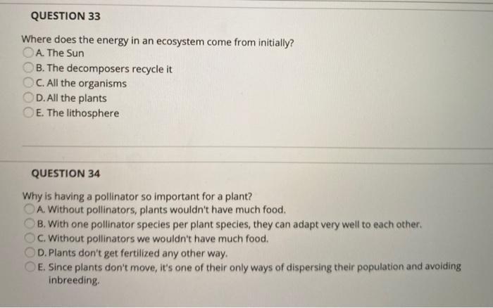 Where does all the energy in an ecosystem come from Flow Of Energy And Matter Through Ecosystems Video Khan Academy