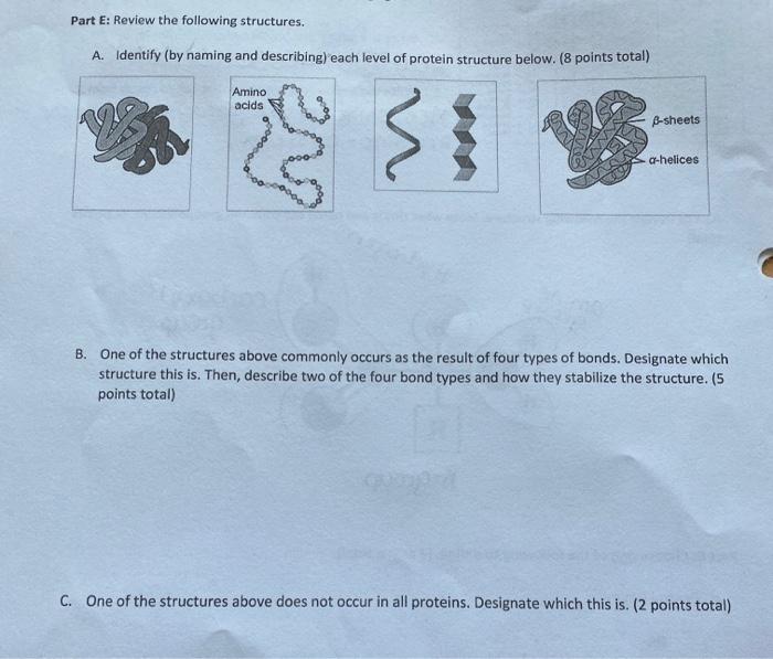 Solved Part E: Review the following structures. A. Identify | Chegg.com