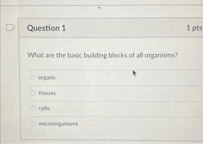 Solved D Question 1 What are the basic building blocks of | Chegg.com