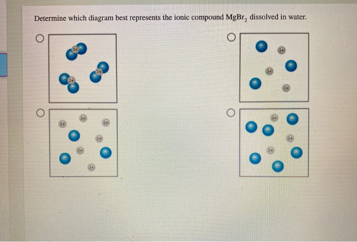 Mgcl2 Dissolved In Water Diagram