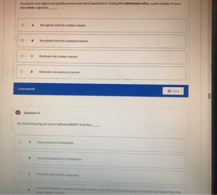 Solved You touch a hot object and quickly remove your hand