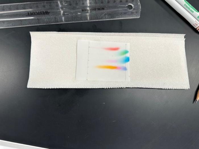 Data Table 2 Thin layer chromatography observations