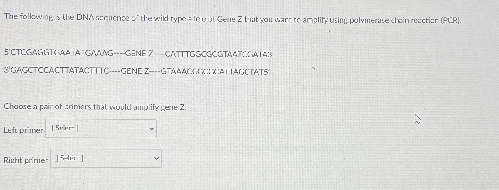 Solved The following is the DNA sequence of the wild type | Chegg.com