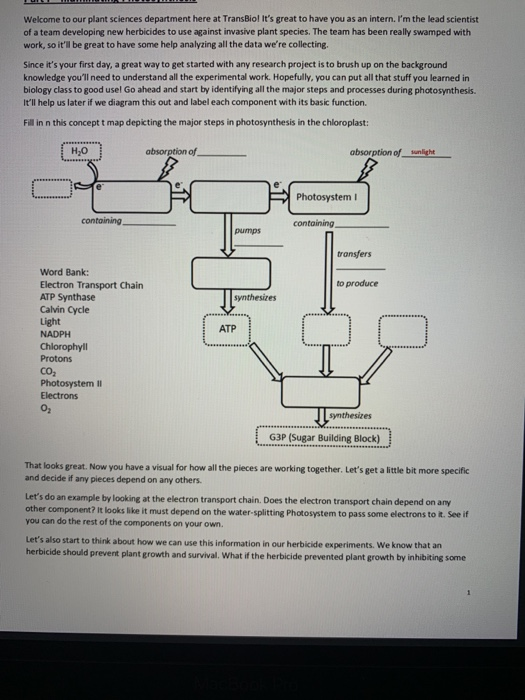 Solved Welcome to our plant sciences department here at | Chegg.com