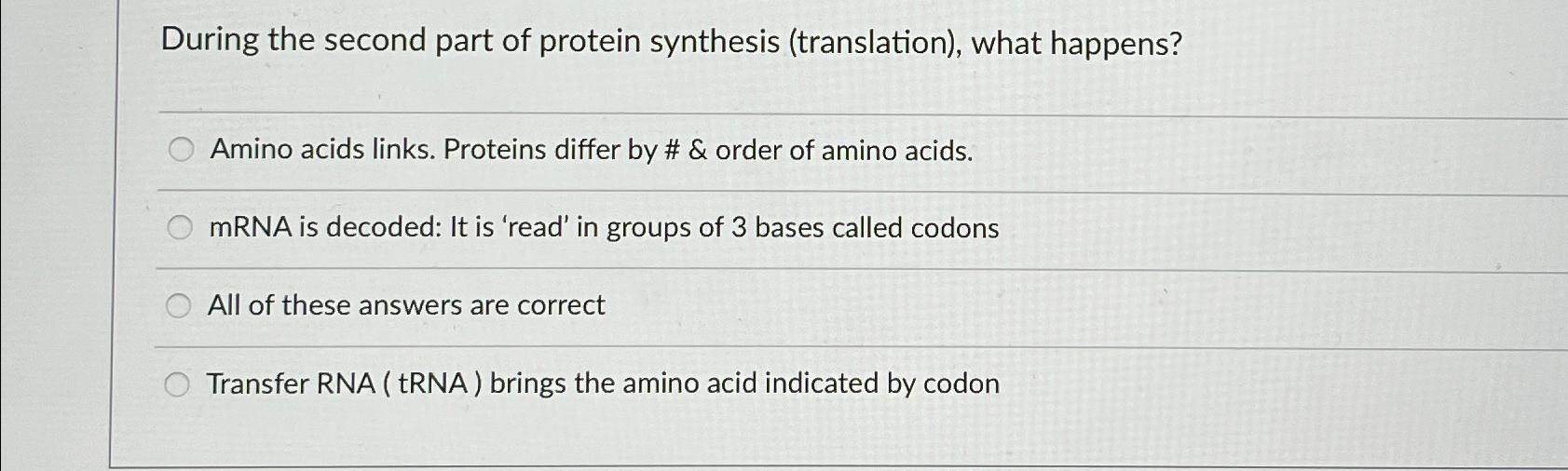 Solved During the second part of protein synthesis | Chegg.com