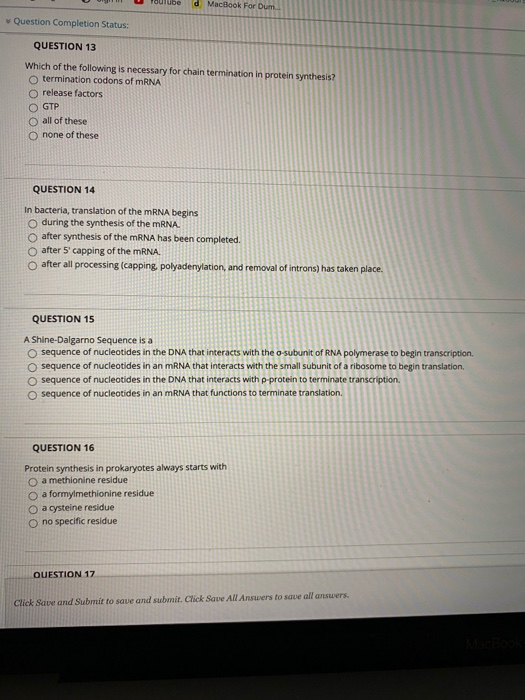 Solved QUESTION 1 The majority of protein synthesis occurs | Chegg.com