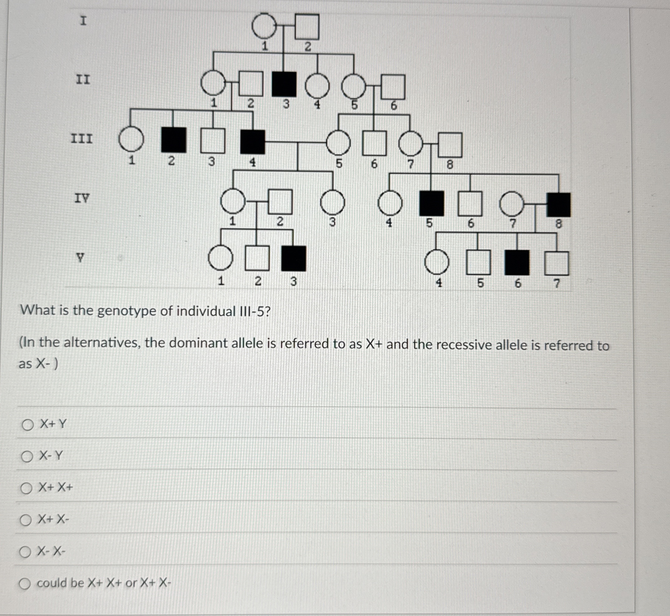 Solved What is the genotype of individual III-5?(In the | Chegg.com