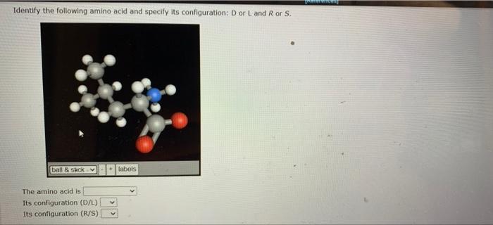 Solved Identify the following amino acid and specify its | Chegg.com