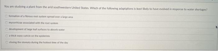 Solved You are studying a plant from the arid southwestern | Chegg.com