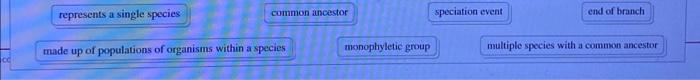Solved he phylogenetic tree shows the evolutionary | Chegg.com