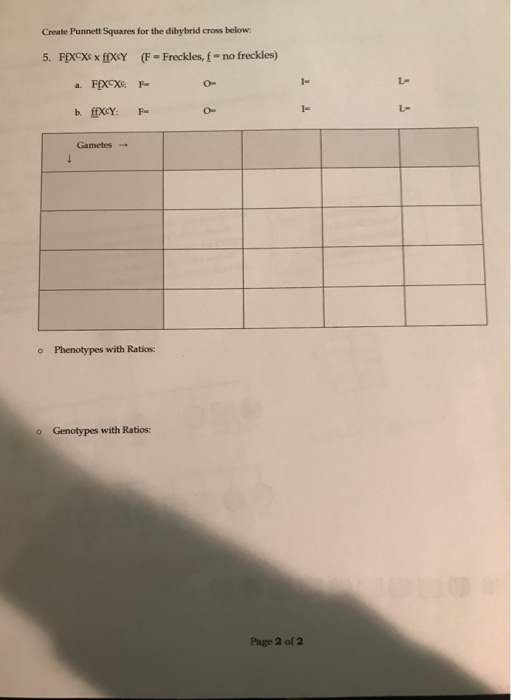 Solved Create Punnett Squares for the dihybrid cross below: | Chegg.com