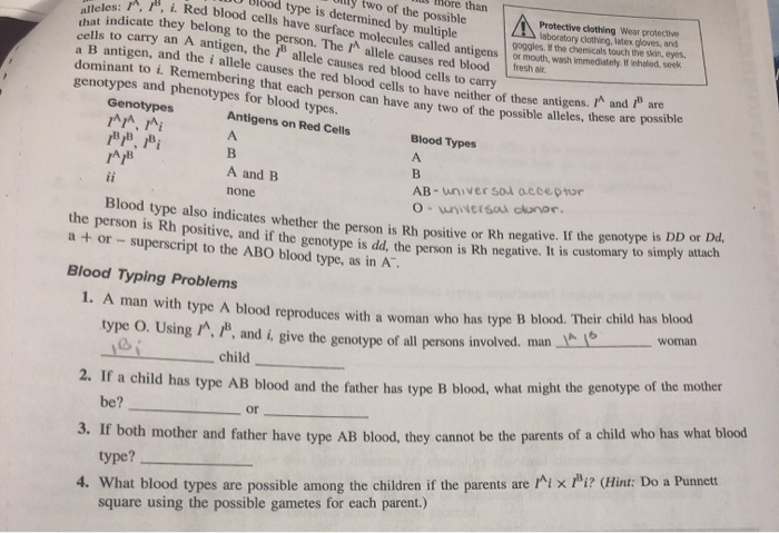 Solved Alleles M That Indicate They Uy Two Of The Possib Chegg Com