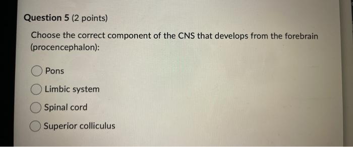 Choose the correct component of the CNS that develops from the forebrain (procencephalon):
Pons
Limbic system
Spinal cord
Sup