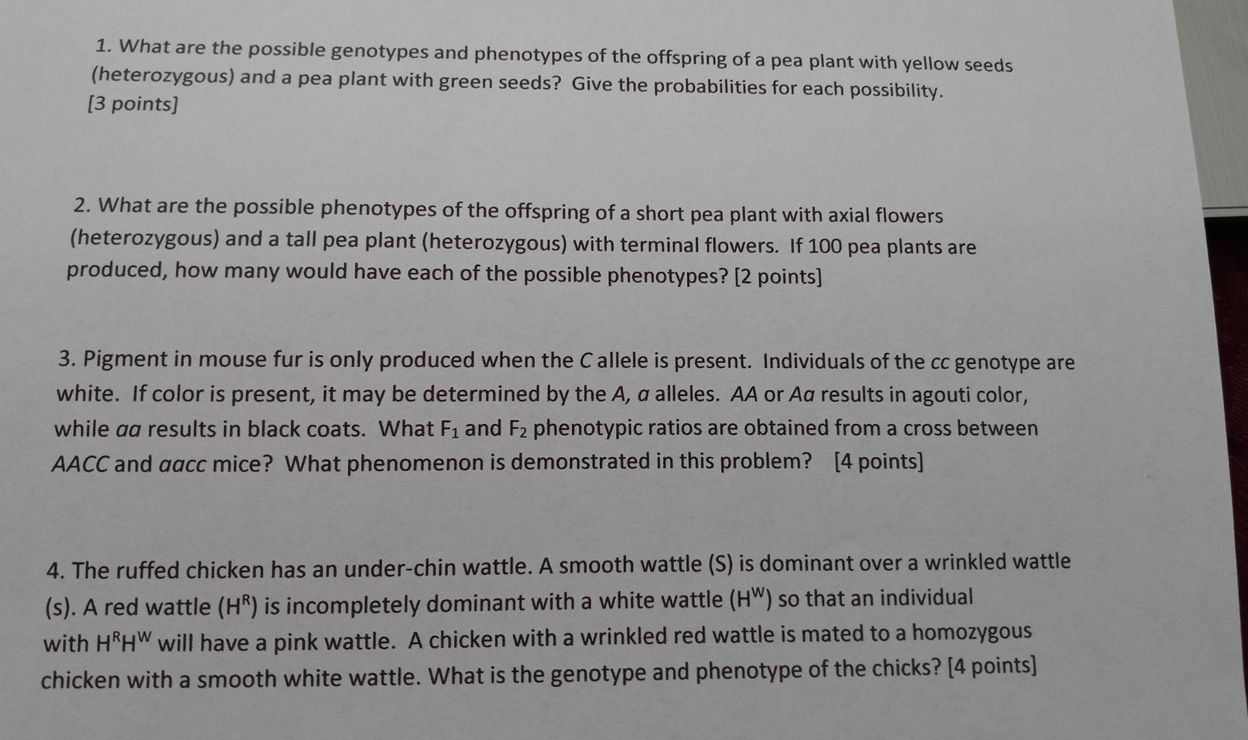Solved 1. What are the possible genotypes and phenotypes of | Chegg.com