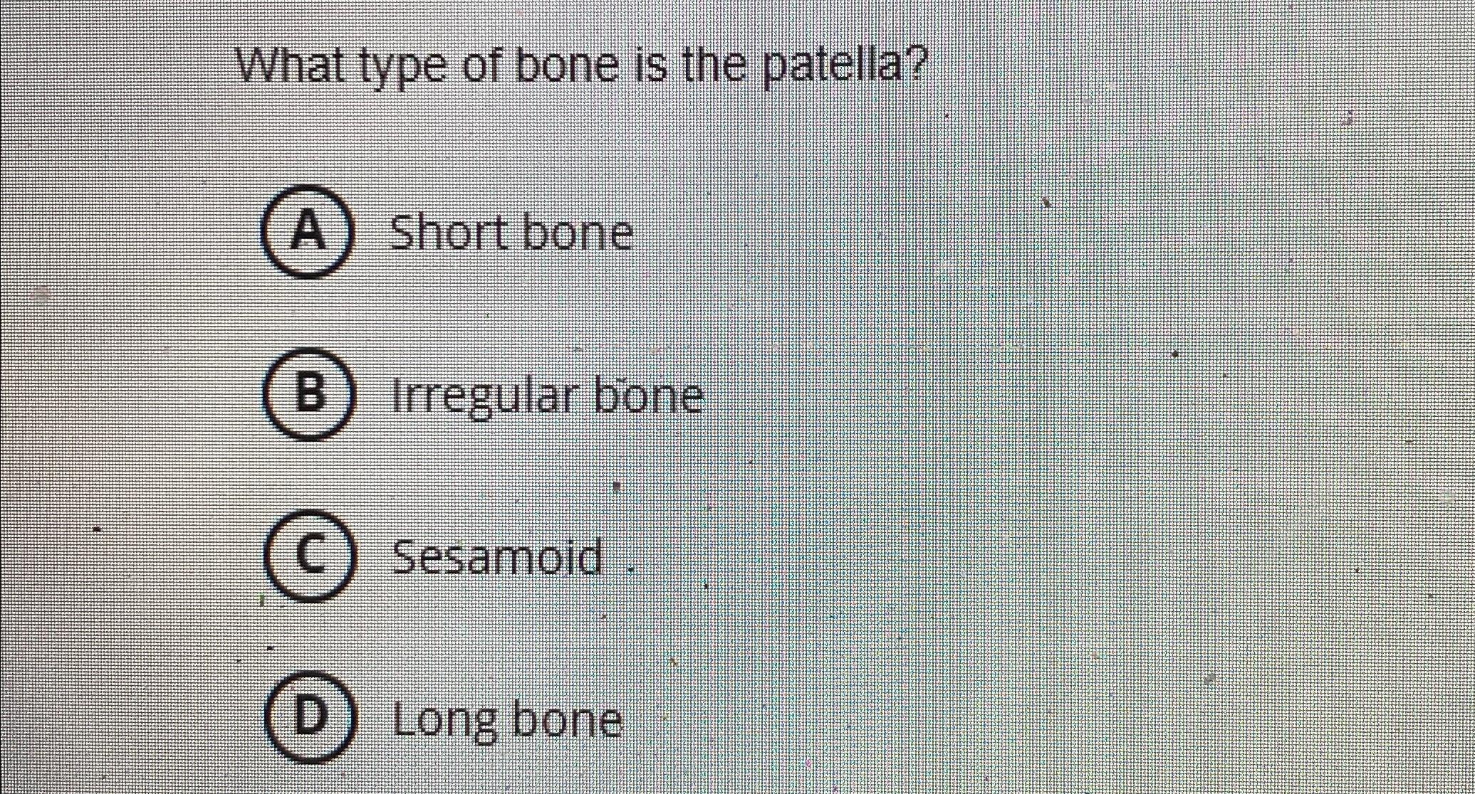 Solved What type of bone is the patella?A) ﻿shortboneB | Chegg.com