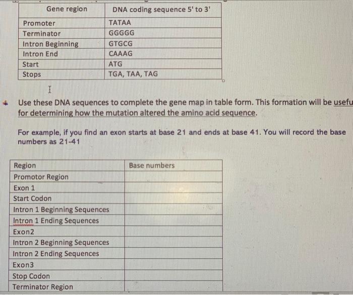 Gene region DNA coding sequence 5' to 3 Promoter | Chegg.com